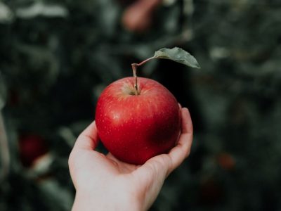 Nutricionistas esclarecem se a sensação de fome aumenta após o consumo de maçã.