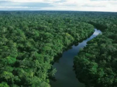 A Floresta Amazônica